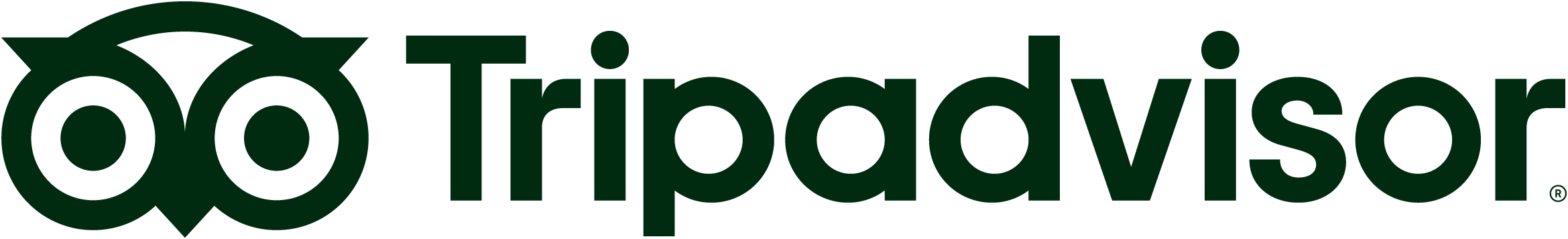 Istanbul Meet and Greet Services Logo
